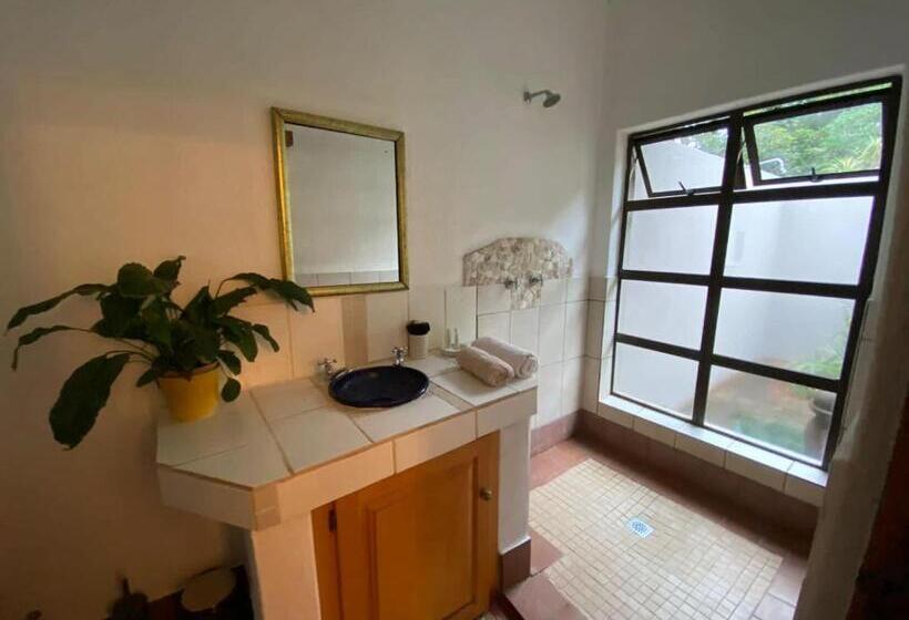 غرفة كلاسيكية, Ambience Inn