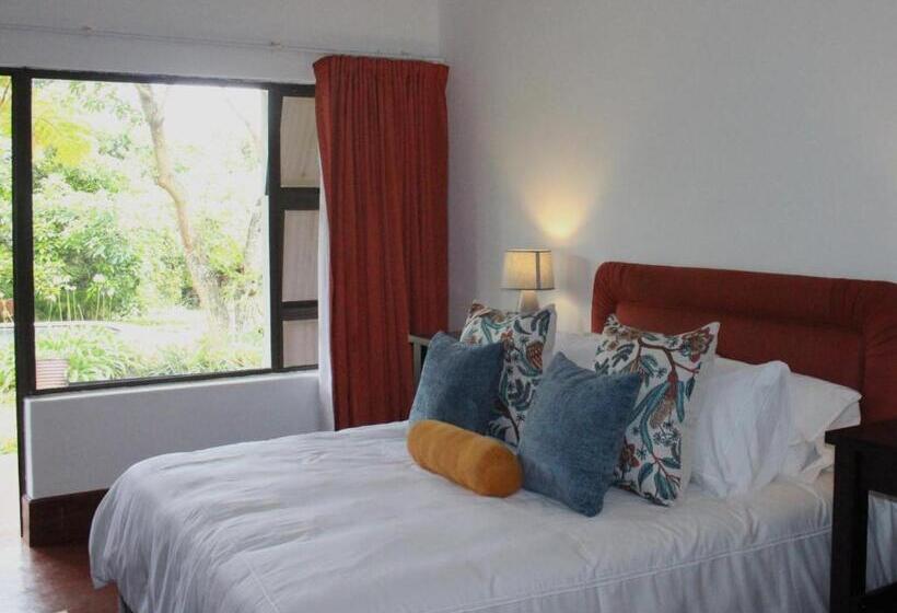 غرفة كلاسيكية, Ambience Inn