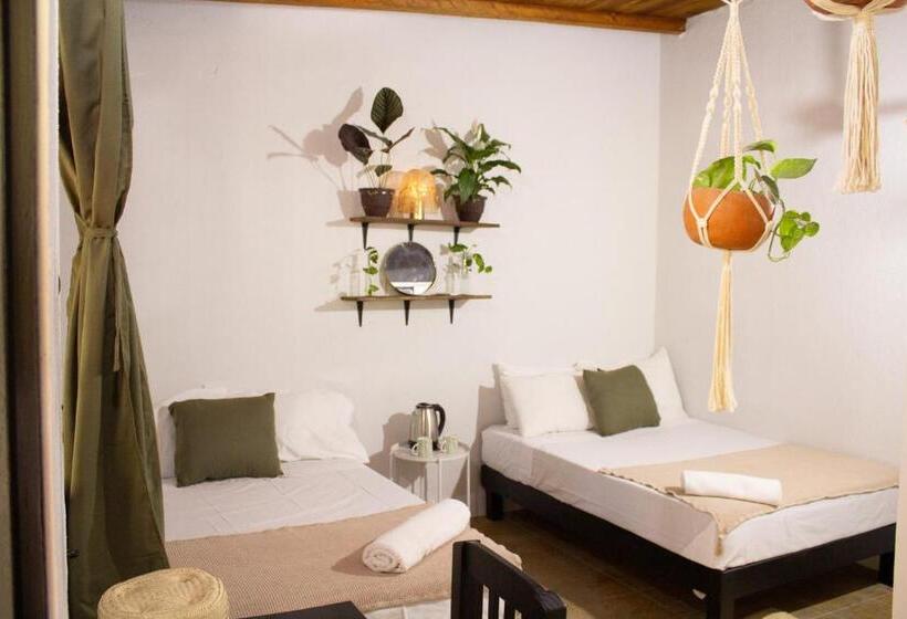 ４ベッドルームクラシックタイプ, Casa Niita