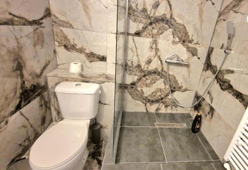 חדר משפחתי, Gaia Villa Predeal