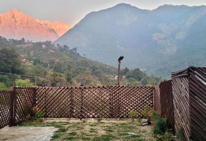 标准三人间, Salig