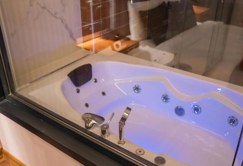 豪华房间, Cip Hotel & Spa Istanbul Bakırkoy City Center