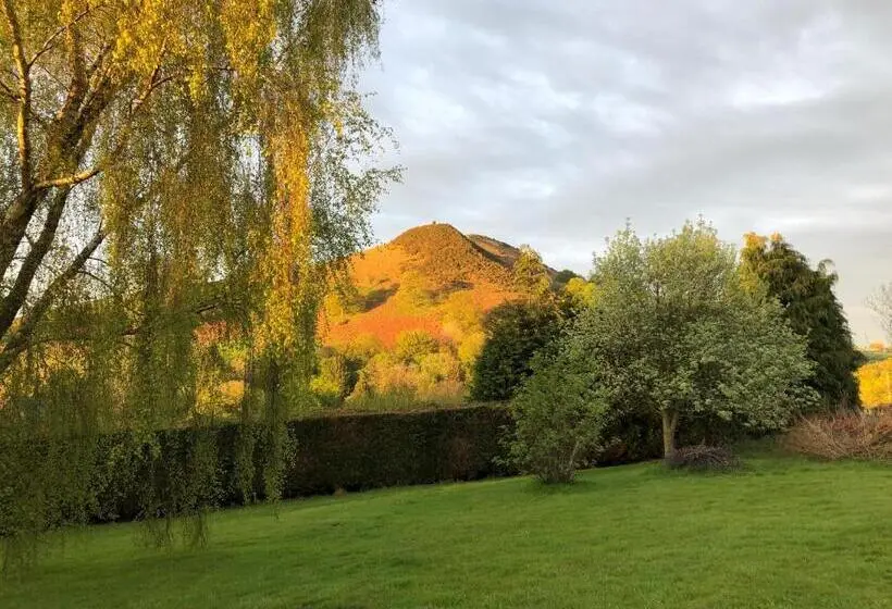 Standard-huone Vuoristonäkymä, Offa S Dyke Lodge B&b