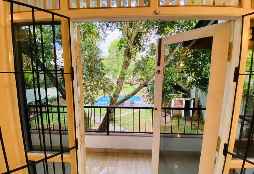 Номер Стандарт Вид на Бассейн, The Brothers