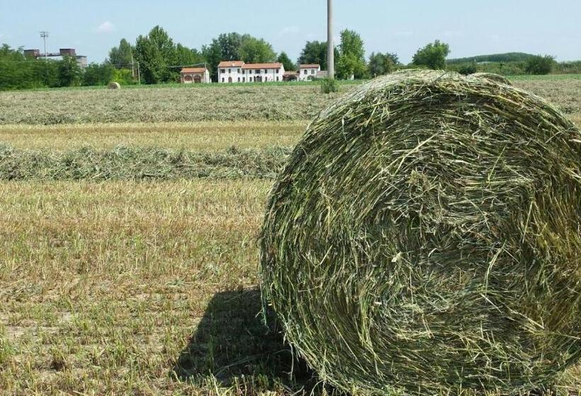 バス共有のスタンダードルーム, La Casa Delle Rondini