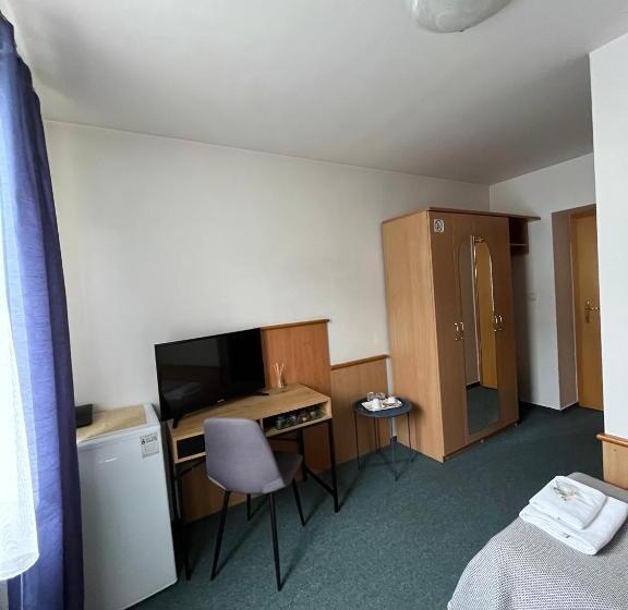 اتاق سوپریور یک تخته, Garni G Hotel žilina