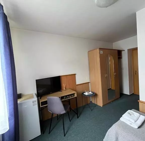 اتاق سوپریور یک تخته, Garni G Hotel žilina