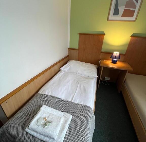 اتاق سوپریور یک تخته, Garni G Hotel žilina