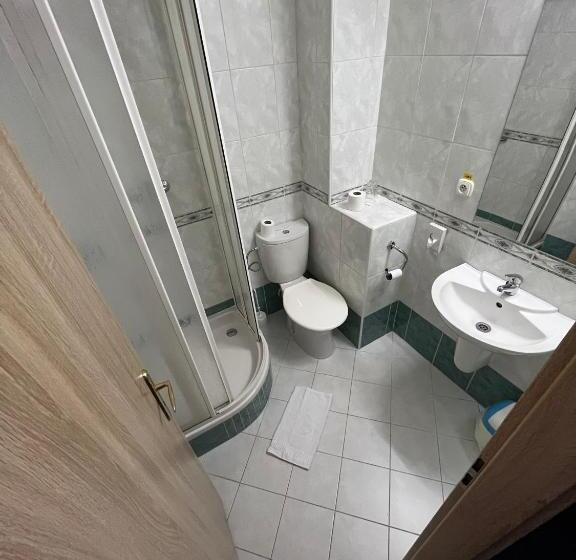 اتاق سوپریور یک تخته, Garni G Hotel žilina