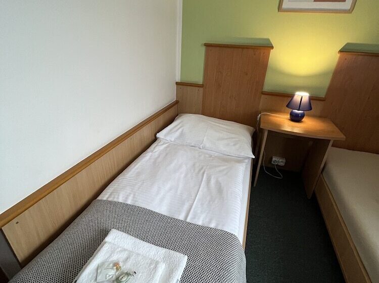 اتاق استاندارد یک نفره, Garni G Hotel žilina