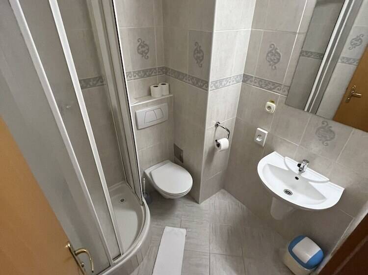 اتاق استاندارد یک نفره, Garni G Hotel žilina