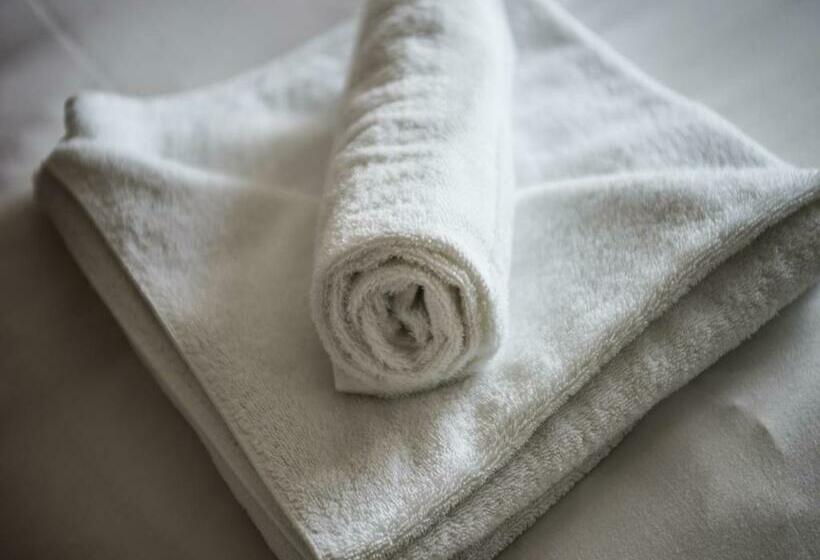 标准间, Phelips Arms