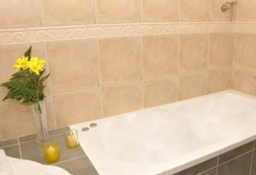 اتاق سوپریور, Ayres Colonia