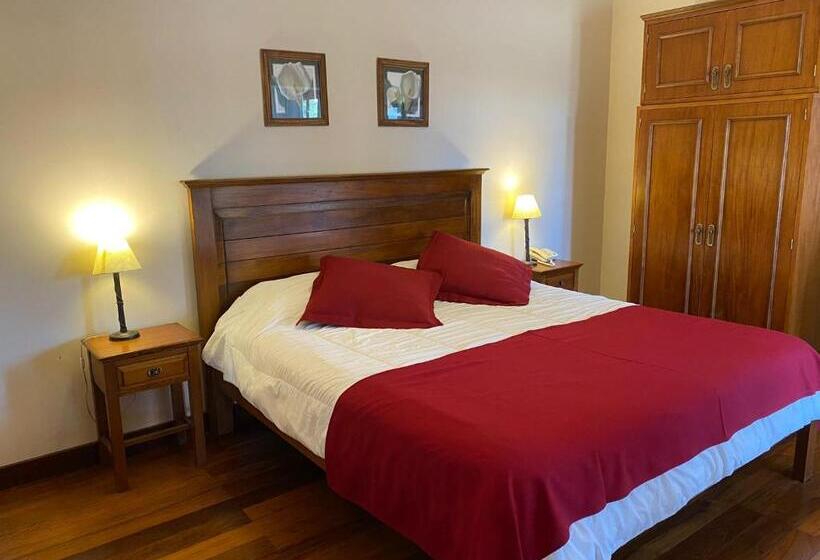 اتاق سوپریور چهار تخته, Ayres Colonia