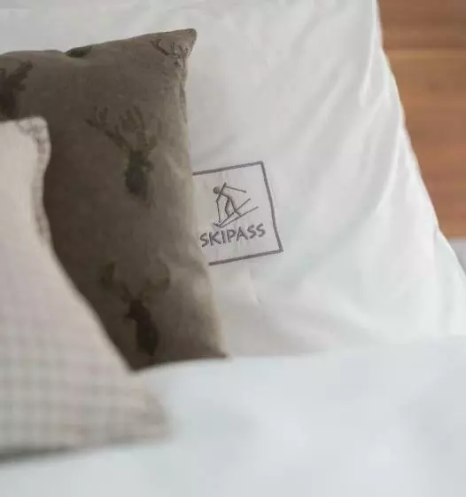 اتاق استاندارد با چشم‌انداز کوهستان, Boutique Skipass Superior