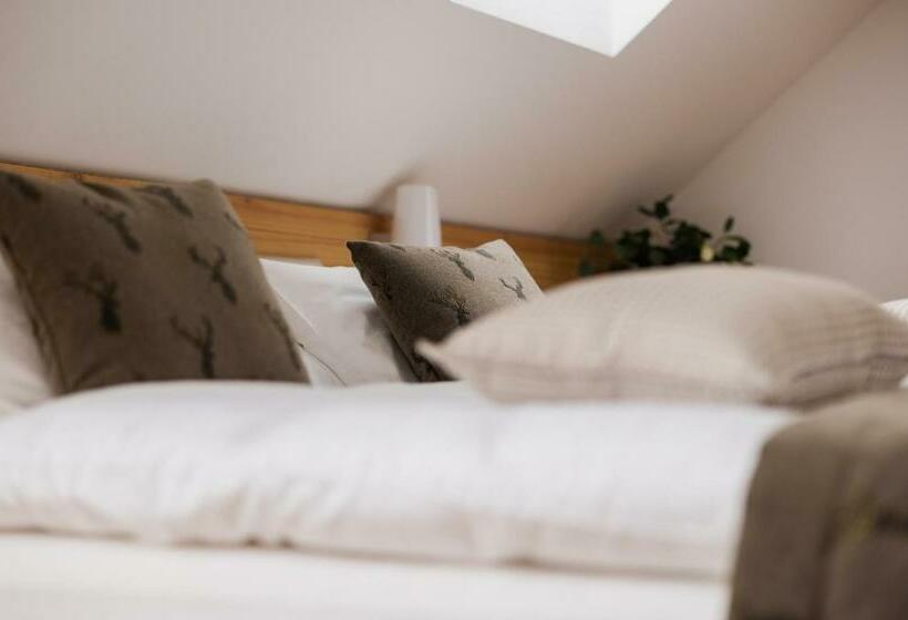 اتاق استاندارد با چشم‌انداز کوهستان, Boutique Skipass Superior