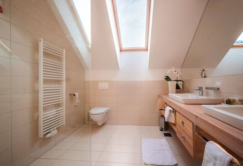 اتاق استاندارد با چشم‌انداز کوهستان, Boutique Skipass Superior