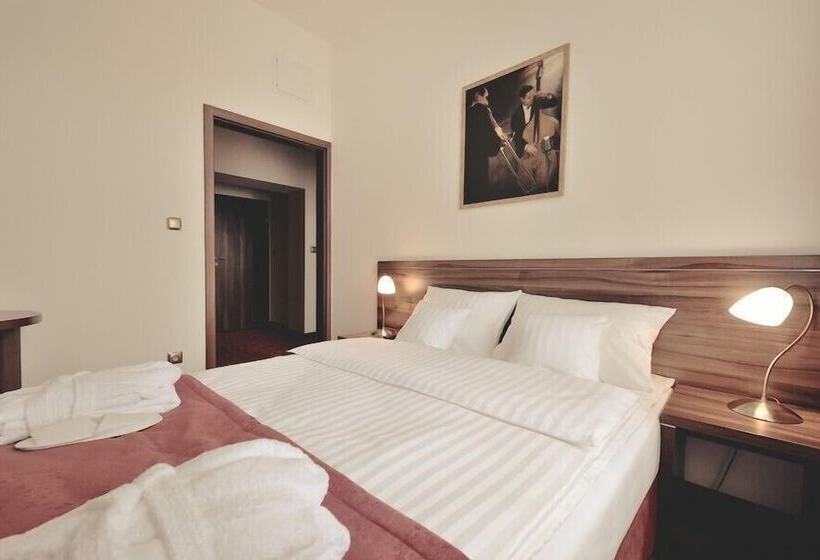 חדר דלוקס, Centrum Sosnowiec