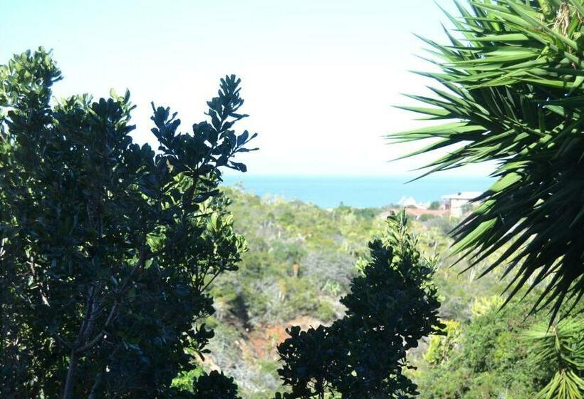 Люкс Повышенной Комфортности, Dolphin View Guesthouse
