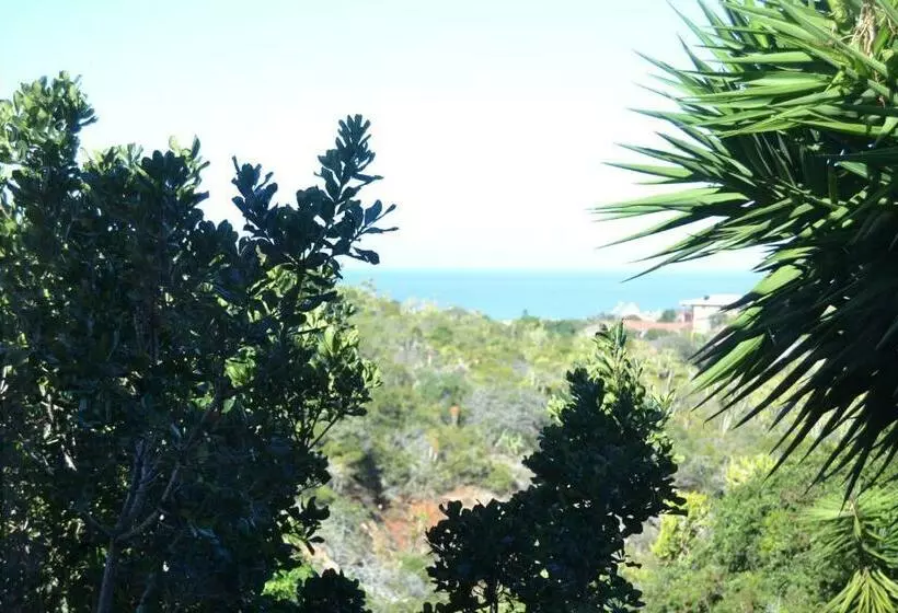 Deluxe-sviitti, Dolphin View Guesthouse