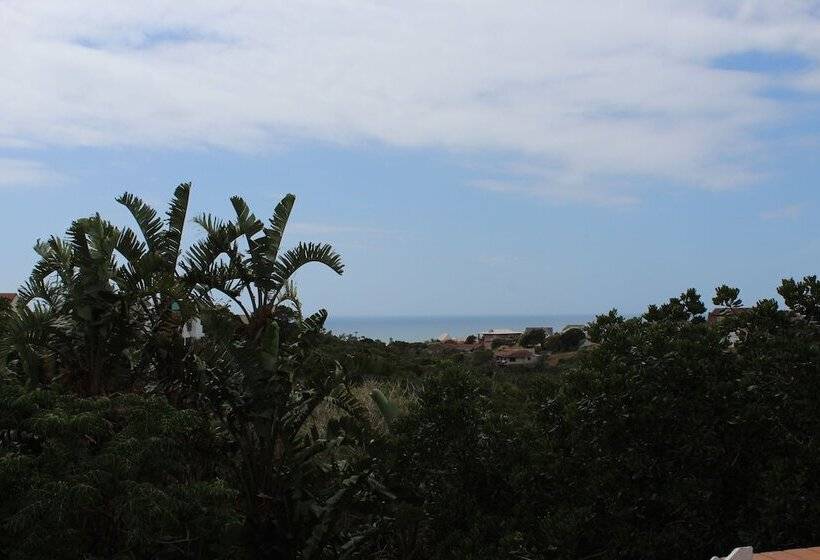 Номер Стандарт с Балконом, Dolphin View Guesthouse