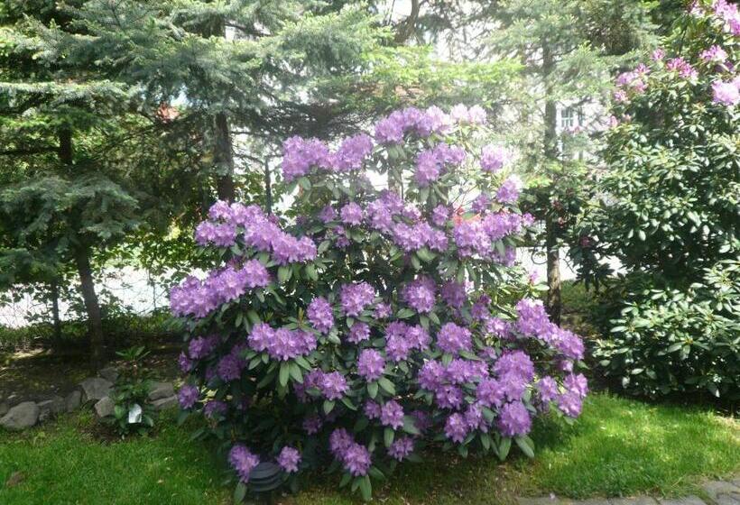 חדר סטנדרט עם ג'קוזי, Dworek Genny