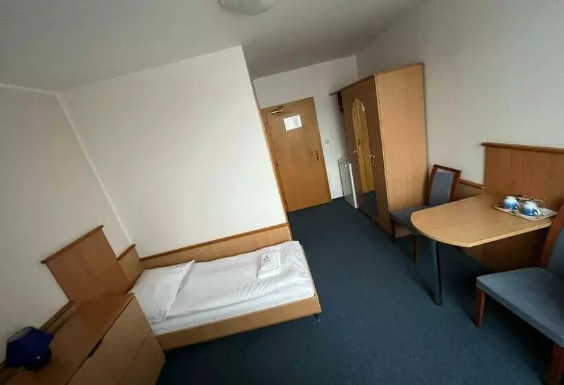 اتاق استاندارد یک نفره, Garni G Hotel žilina