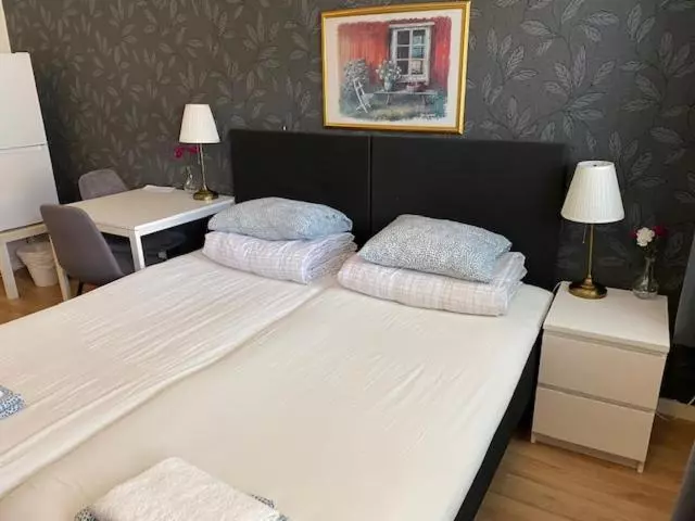 اتاق استاندارد با سرویس بهداشتی مشترک, Helsingborgs Vandrarhem, Helsingborg Hostel