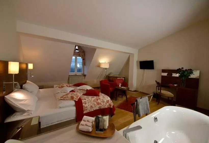 デラックスルーム, Pałac Pakoszów Schlosshotel Wernersdorf