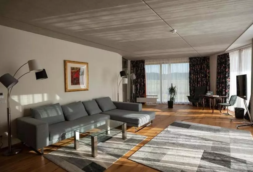 1ベッドルームペントハウスアパート, Pałac Pakoszów Schlosshotel Wernersdorf