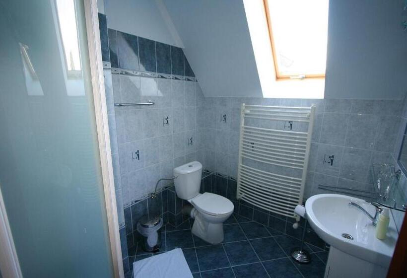 اتاق استاندارد, Penzión Zlatý Jeleň