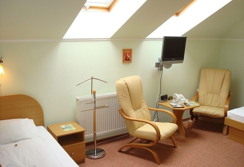 اتاق استاندارد, Penzión Zlatý Jeleň