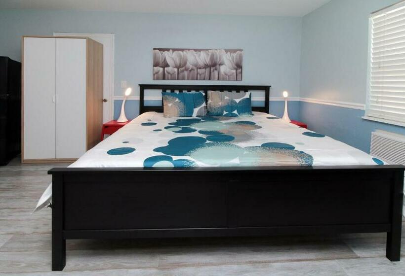 Студия Стандарт, The Dolphin Hollywood