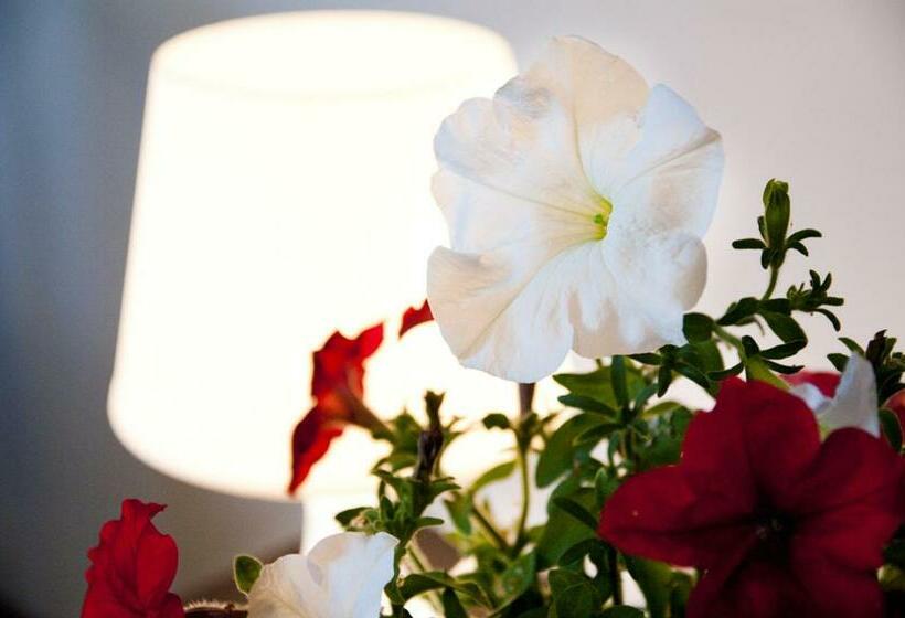 חדר סטנדרט, Zajazd Wrocławski