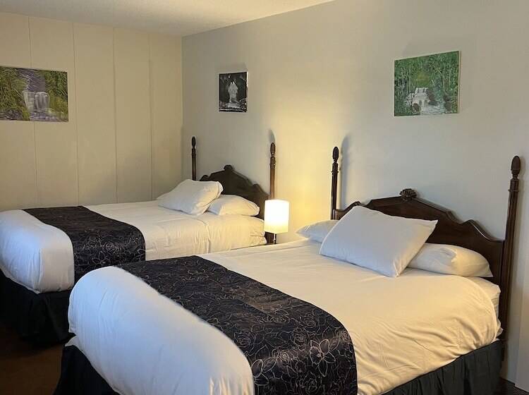 Номер Deluxe, Itascan Motel