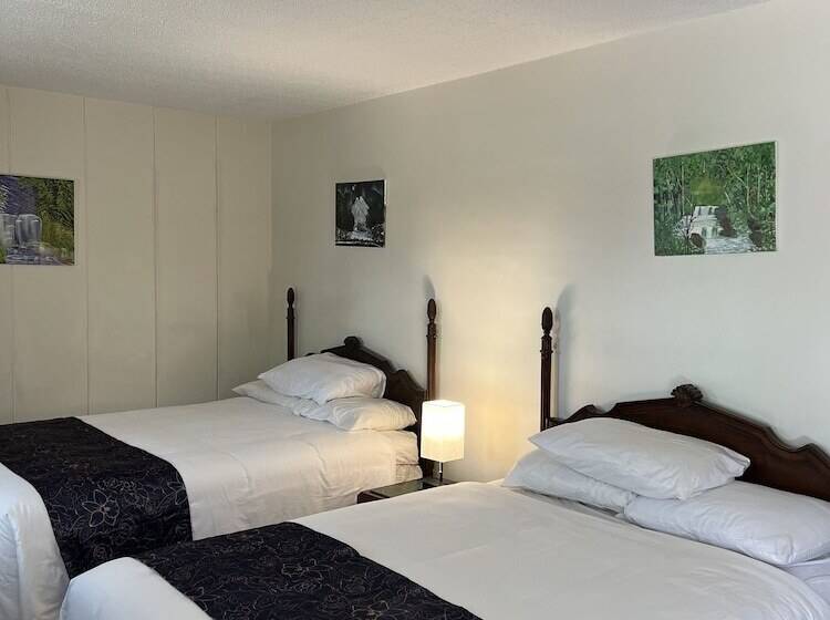 Номер Стандарт 2 Двуспальные Кровати, Itascan Motel