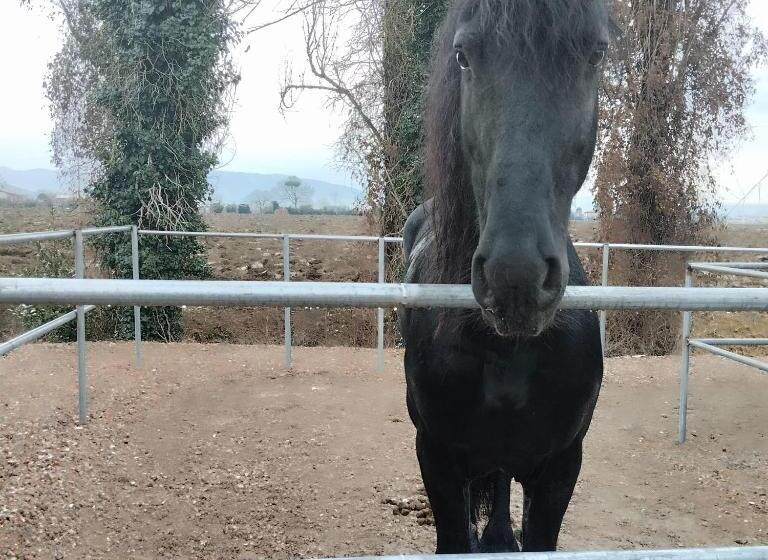 Balkonlu 1 Yatak Odalı Daire, Agriturismo La Mora   Bilancia