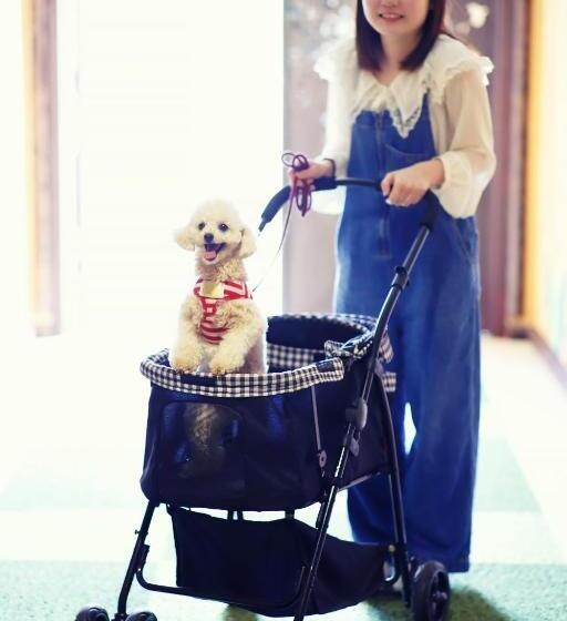 חדר קלאסי עם נוף לים, Grand Mercure Minamiboso Resort & Spa