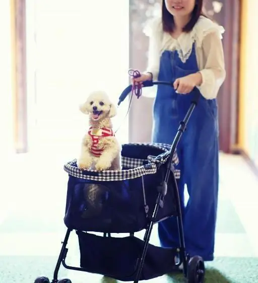 オーシャンビュークラシックルーム, Grand Mercure Minamiboso Resort & Spa