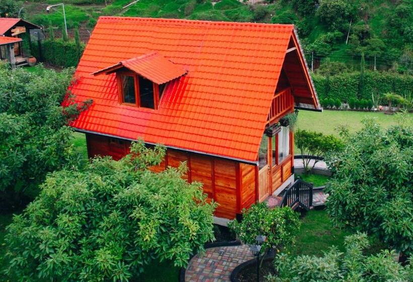 패밀리 룸, Hostería Molino De Café