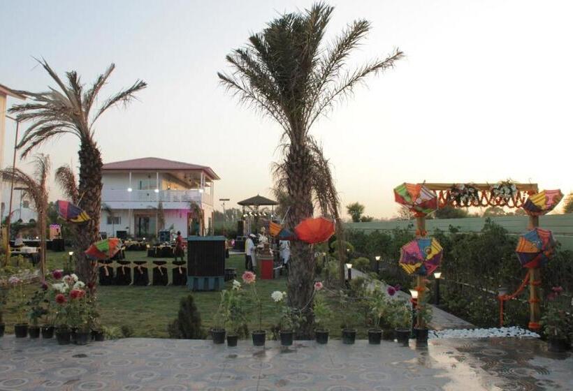 اتاق استاندارد با تخت بزرگ, Paradise 135