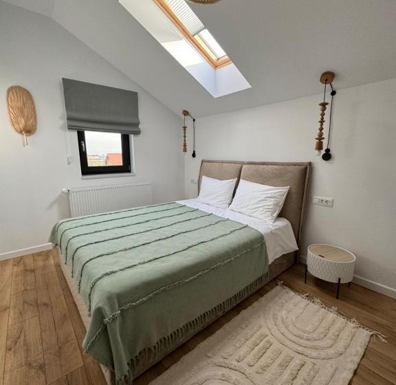 침실 2개 아파트, Epic Vila Brașov, Cristian