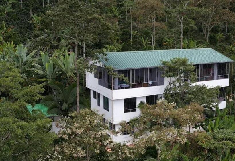 Студия Стандарт, Estancia Don Heli