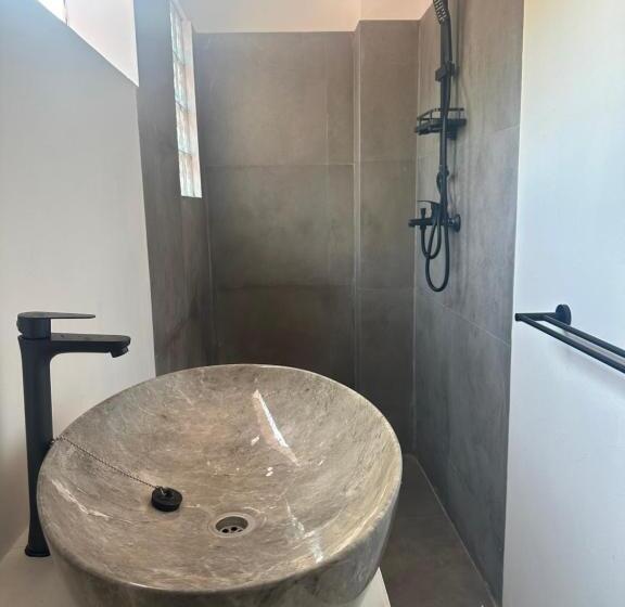 חדר סטנדרט, Nomados