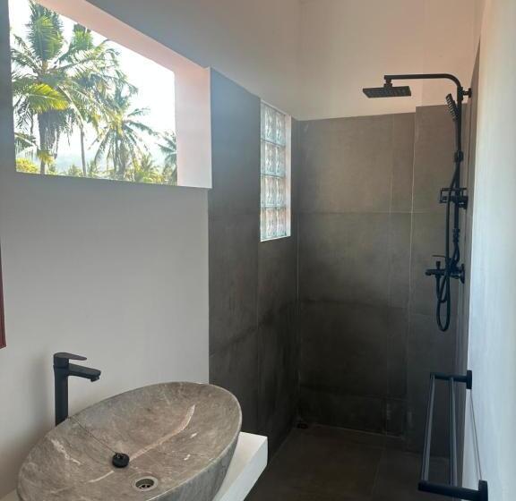 חדר סטנדרט, Nomados