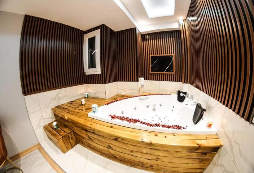 １ベッドルームペントハウスアパート, Stay Suite