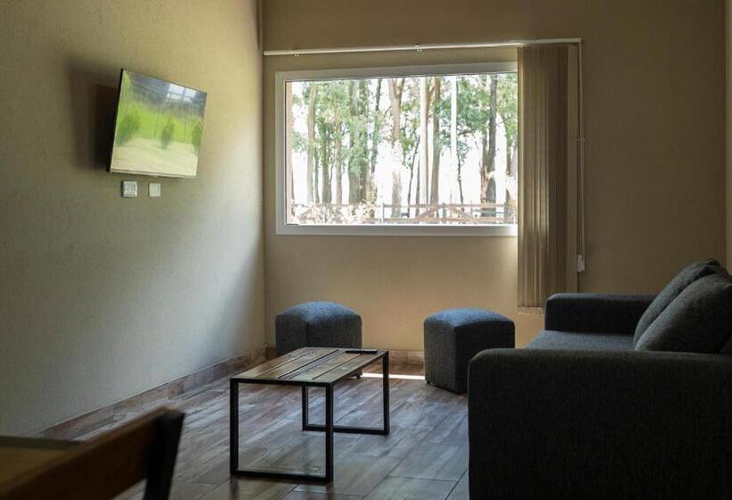 شقة غرفتين, Olivos De Monte