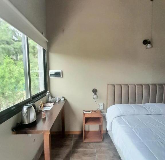 غرفة قياسية, Olivos De Monte