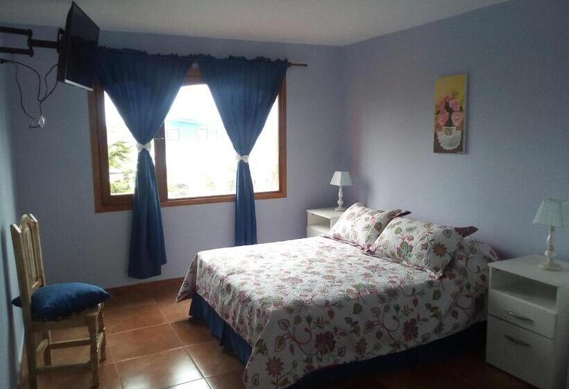 StandaardKamer, Auroras De Fuego