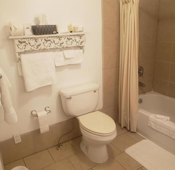 غرفة قياسية سرير كينج, The Eagle S Nest Inn